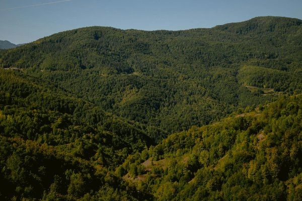 L'Ehpad Lille: la maison de retraite idéale et chaleureuse